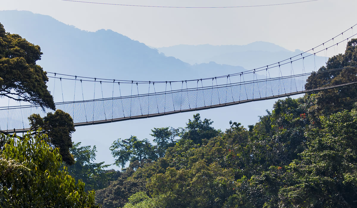 Nyungwe Forest National Park