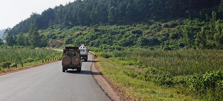 Nyungwe Travel by Car: