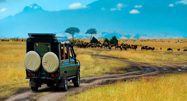 Rwanda Scenic Road Trip: